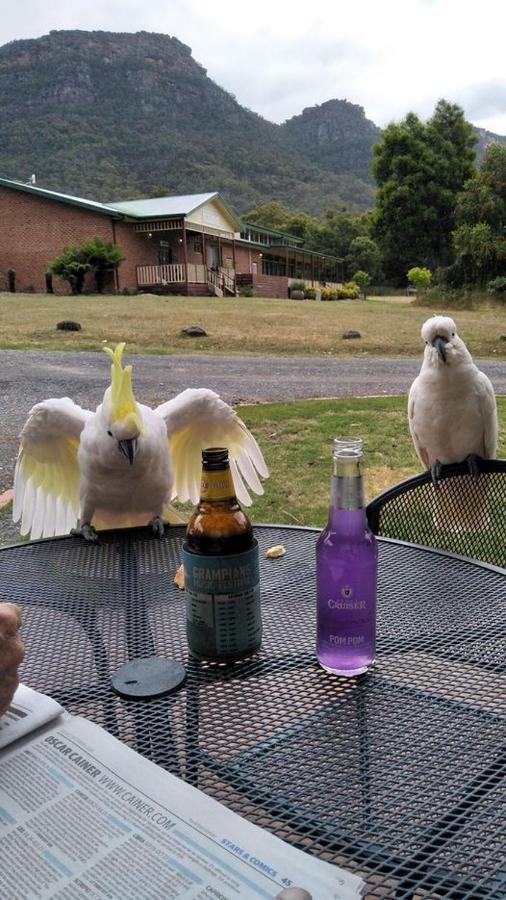 Halls Gap Valley Lodges المظهر الخارجي الصورة